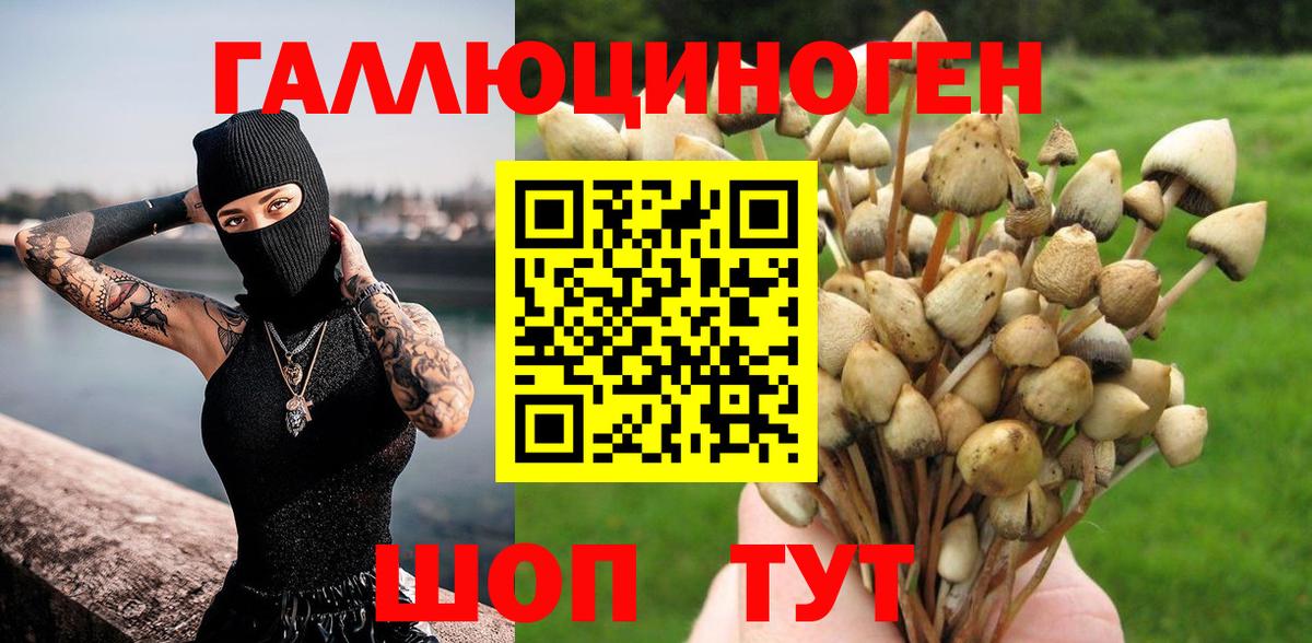 Псилоцибиновые грибы прущие грибы Керчь